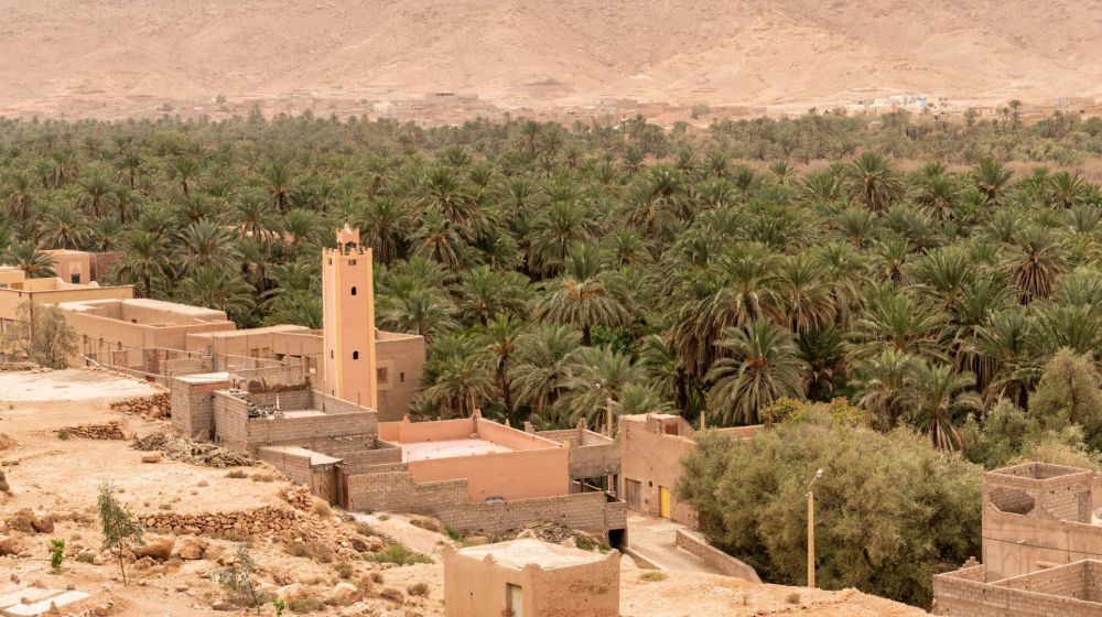 imagen de Safari por Gnsawa