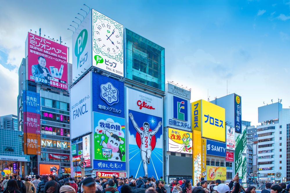 imagen de Excursión privada Osaka