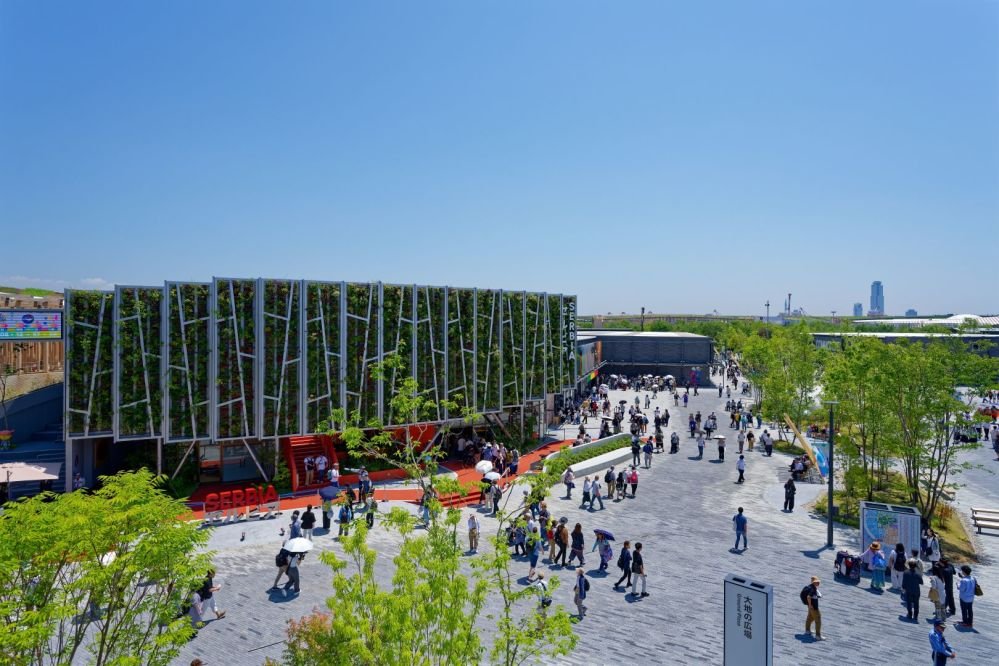 Imagen de la actividad