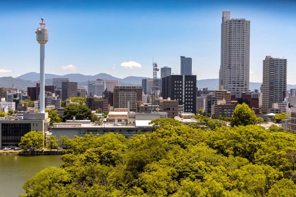 Imagen de la actividad