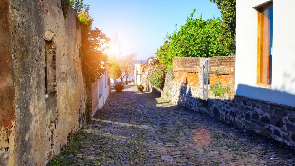 Imagen de Navegación Colonia Express