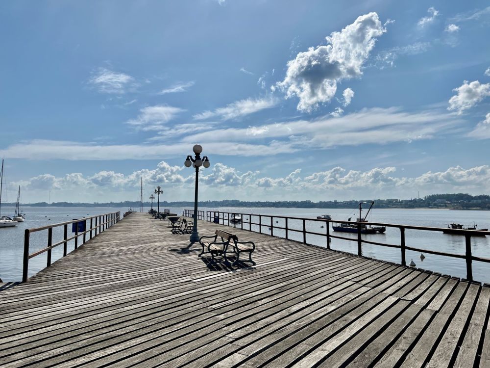 Imagen de la actividad