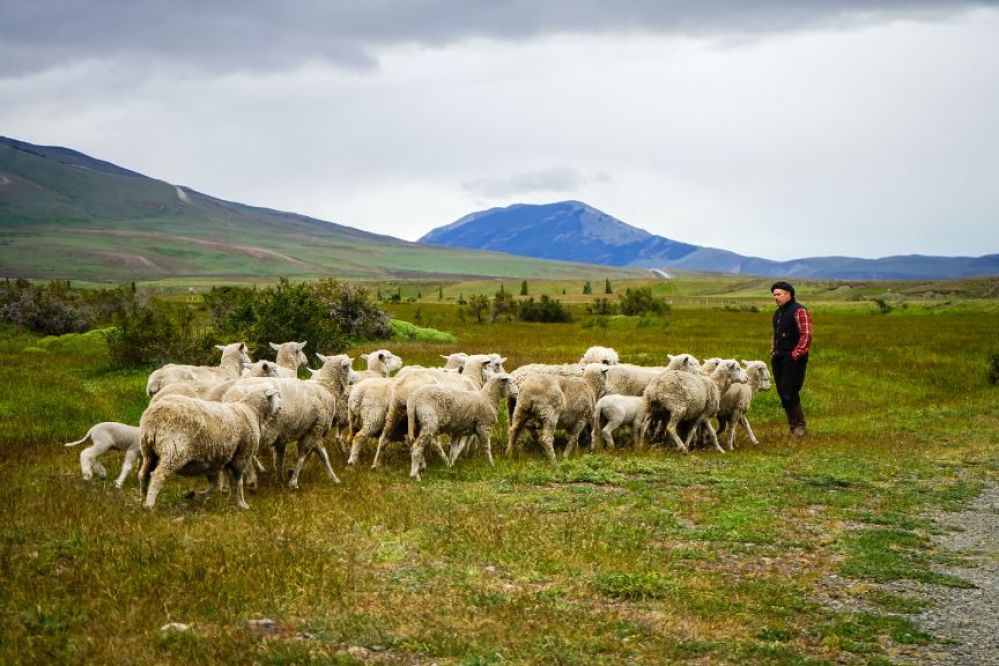 imagen de Estancia Tierra de Ovejeros