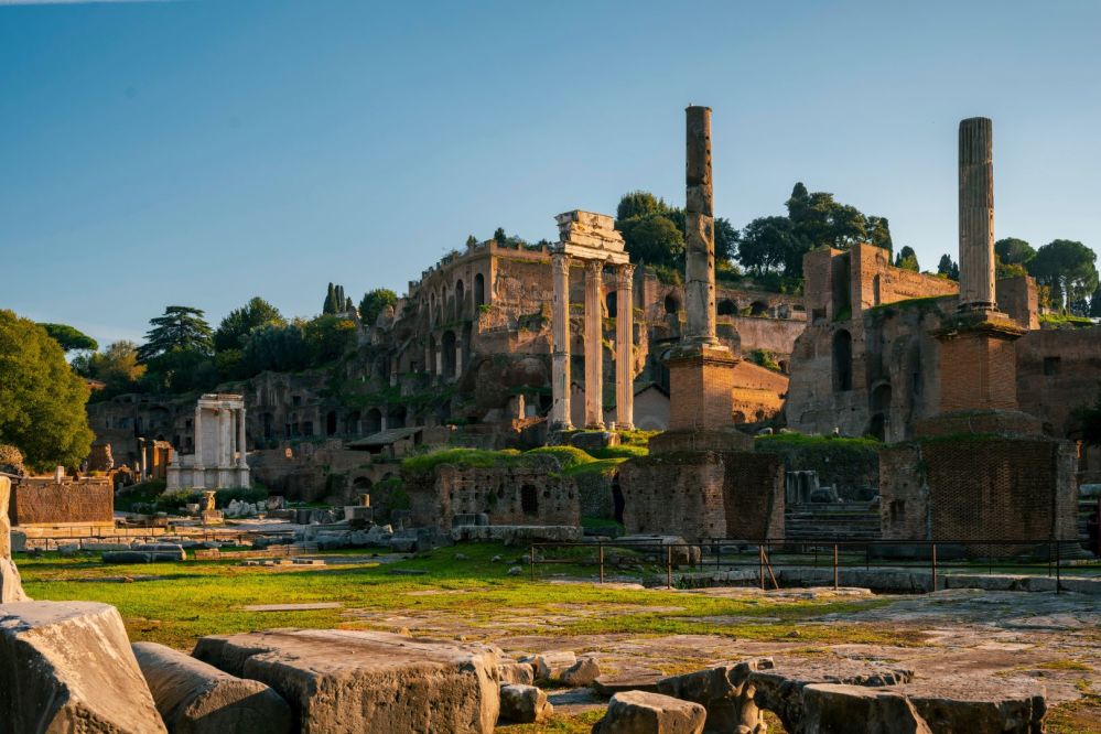 Imagen de la actividad