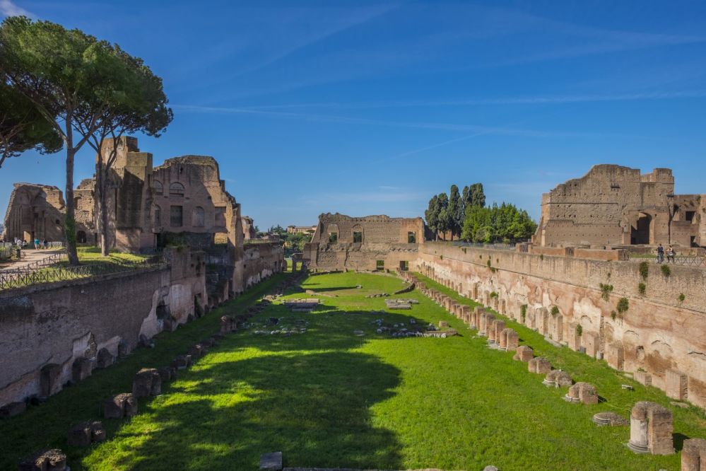 Imagen de la actividad