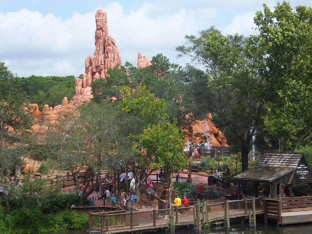 Imagen de la actividad