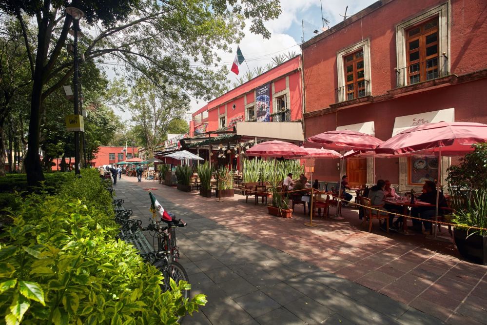 Imagen de la actividad