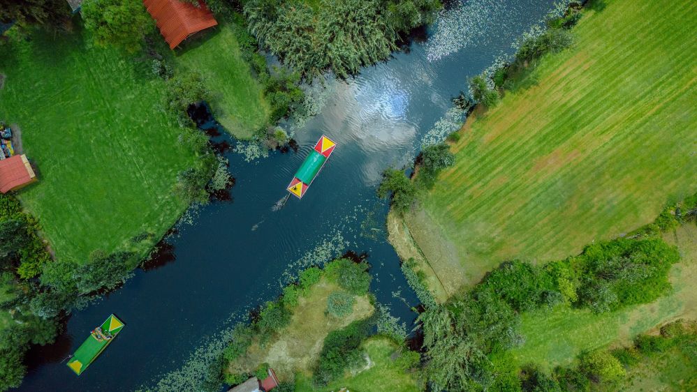 Imagen de la actividad