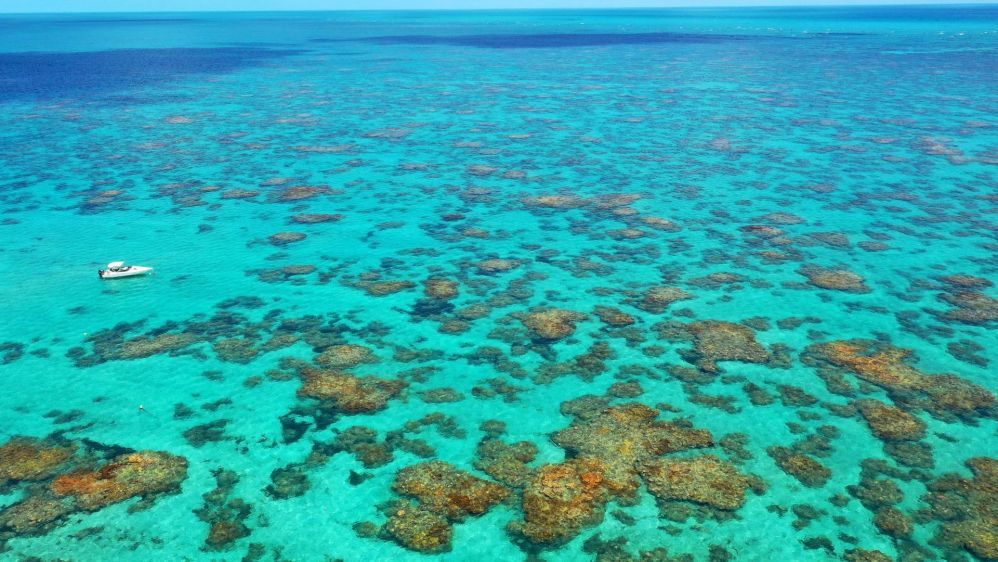 Imagen de la actividad