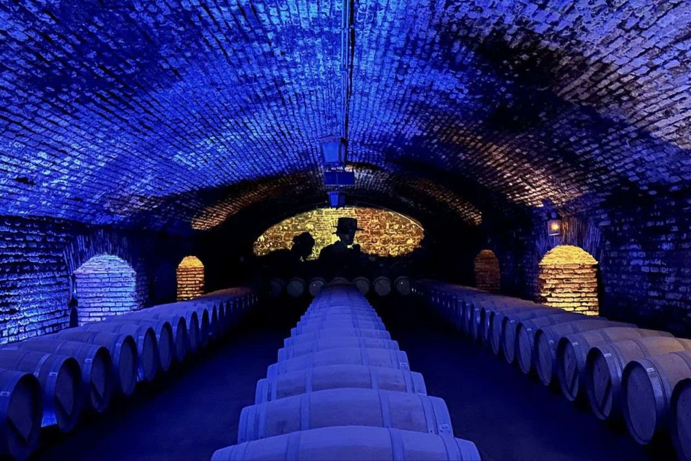 Imagen de Experiencia Nocturna Casillero del Diablo + Cena