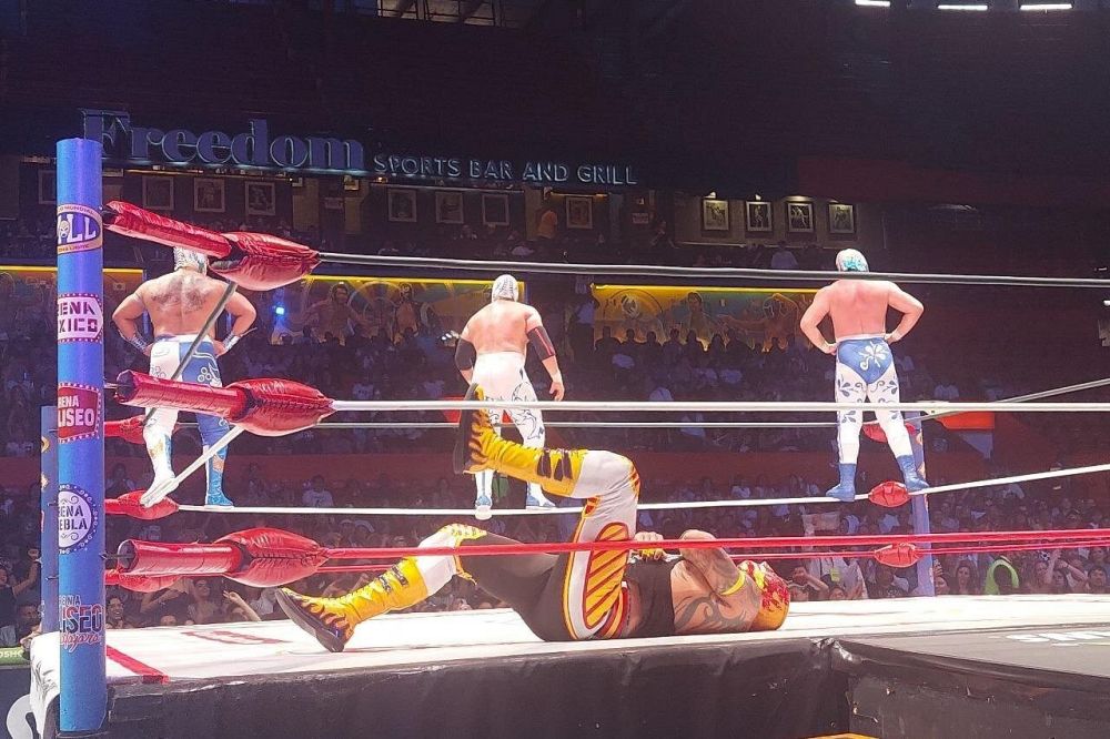 Imagen de Show de Lucha Libre