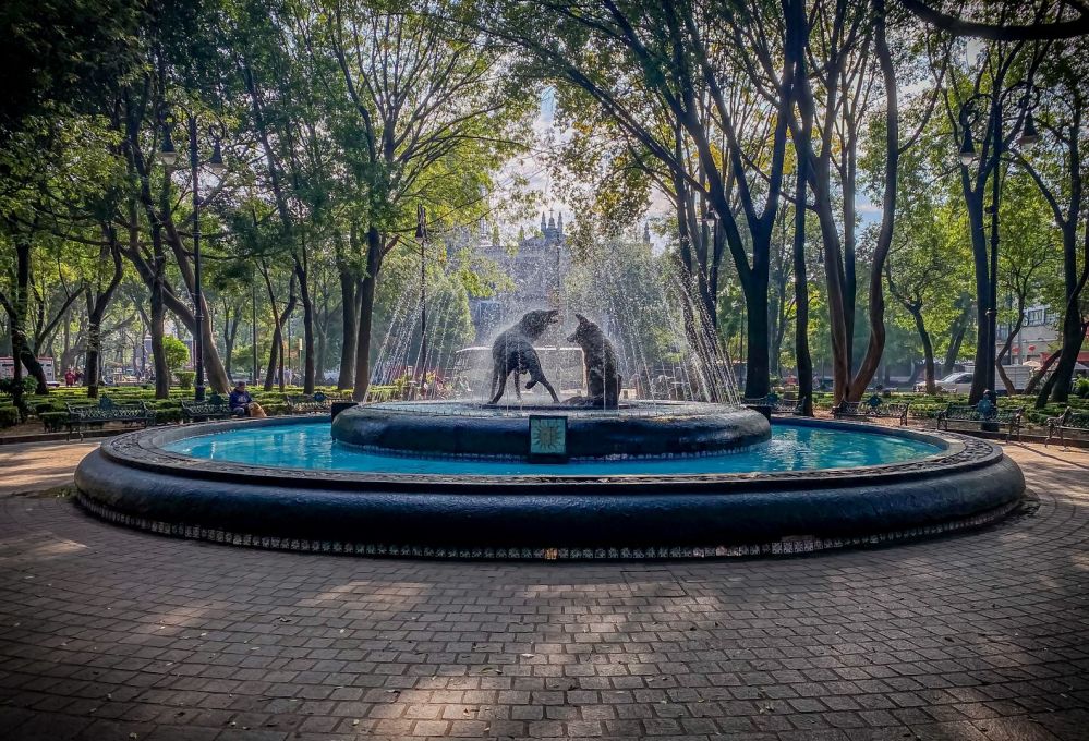 Imagen de la actividad