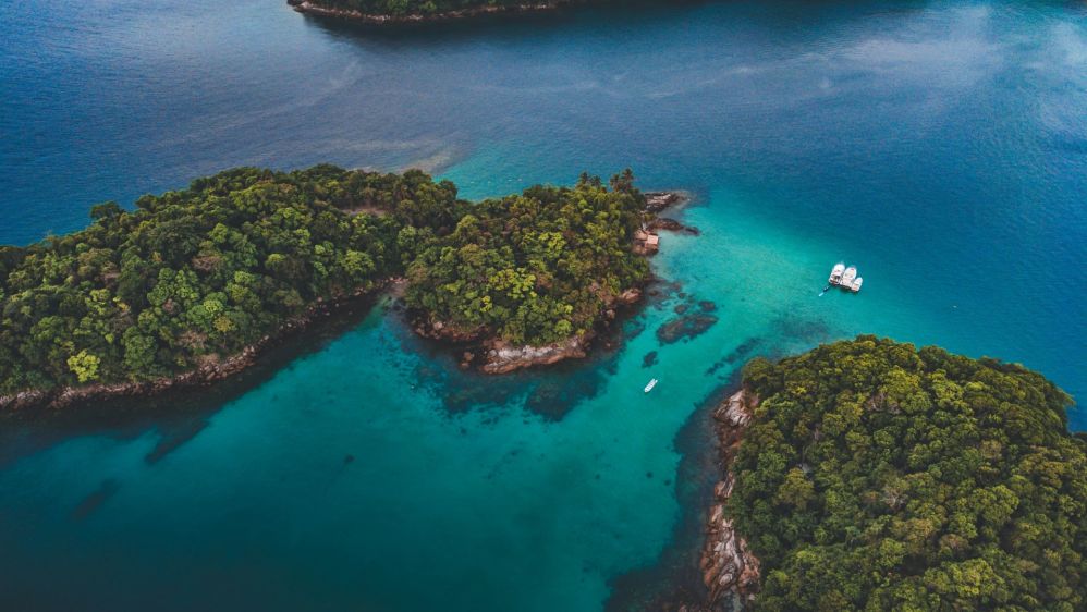 Imagen de Tour en barco "media vuelta por la isla"