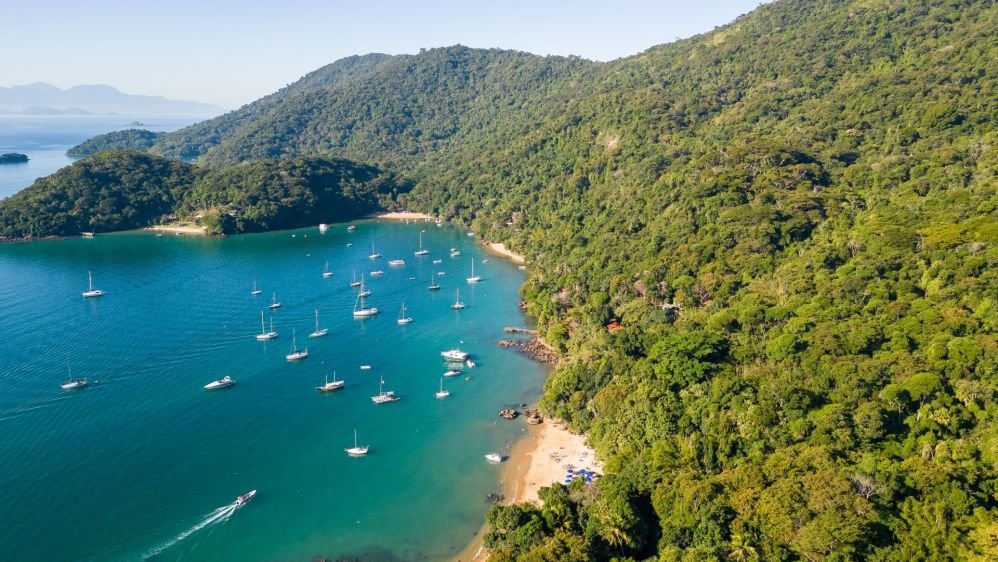 Imagen de la actividad