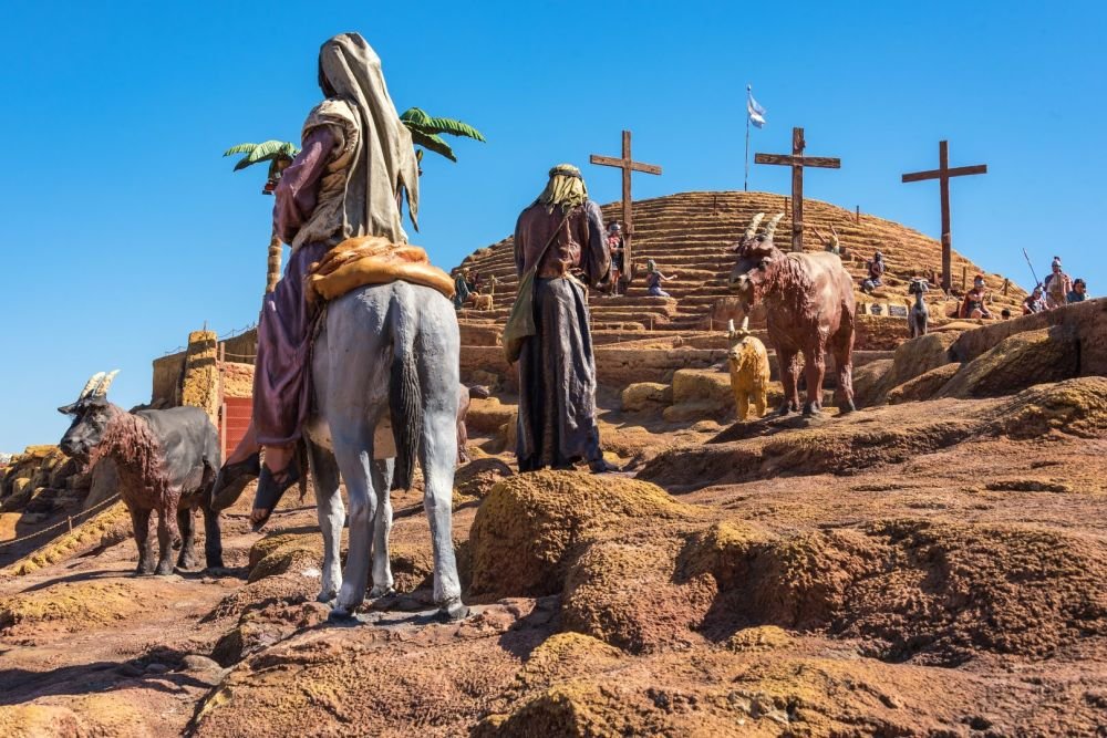 Imagen de la actividad