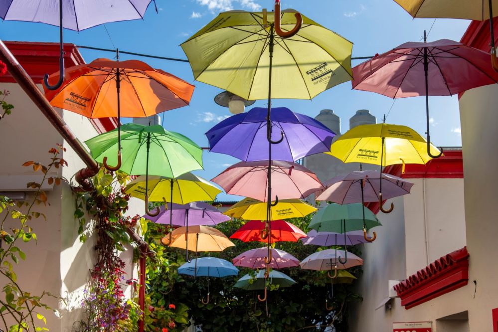 Imagen de la actividad