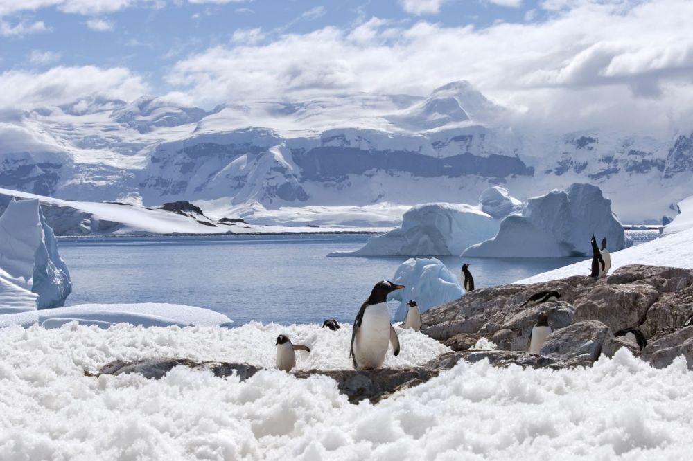imagen de Antártica