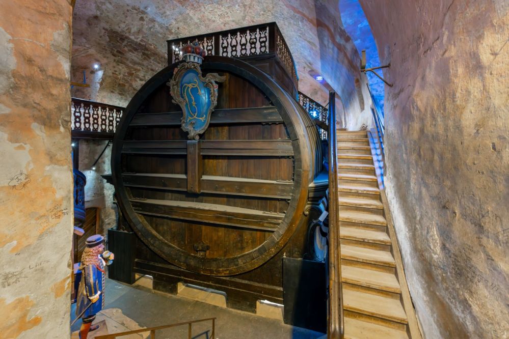 Imagen de la actividad