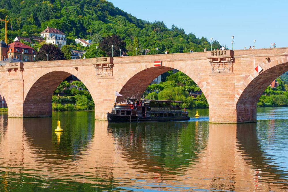 Imagen de la actividad