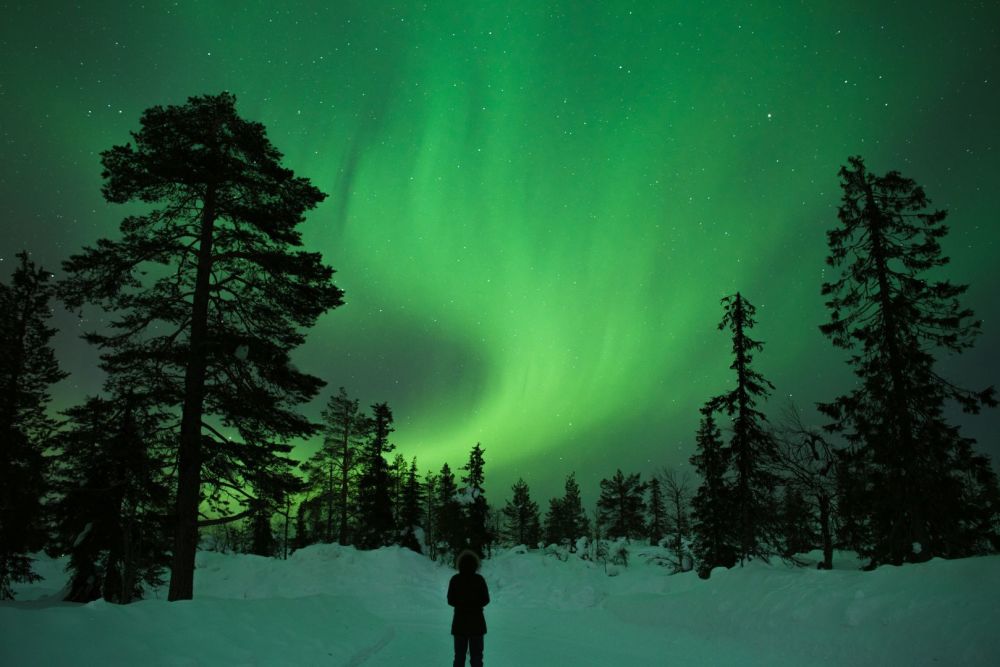 Imagen de Visita a Granja de Renos y Búsqueda de la Aurora Boreal