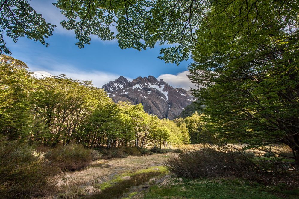 Camping Vértice Los Perros