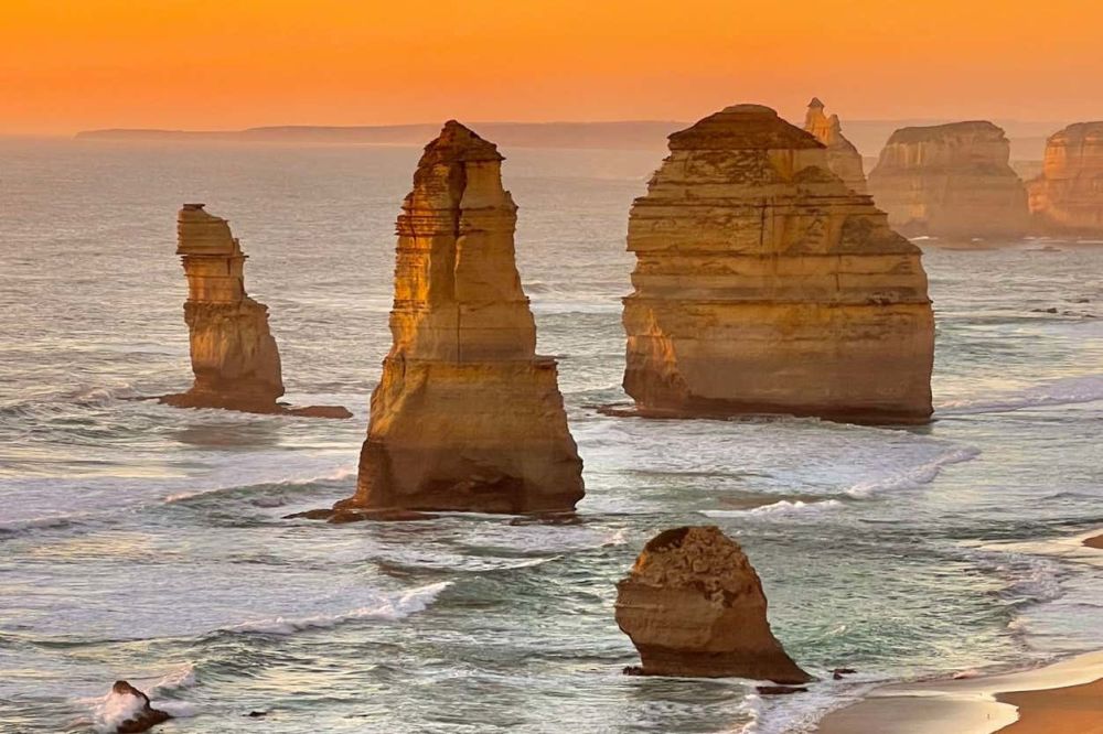 Imagen de la actividad