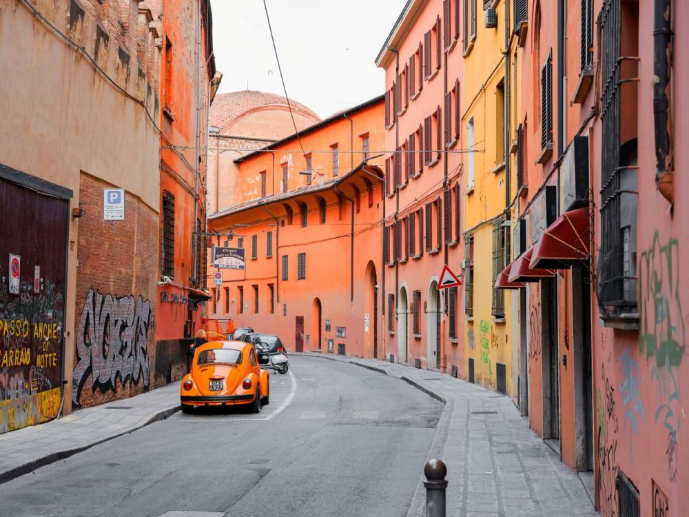 Imagen de la actividad