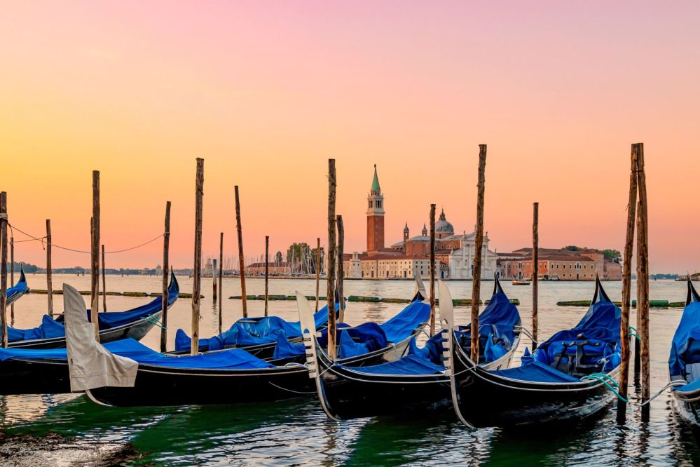 Imagen de la actividad