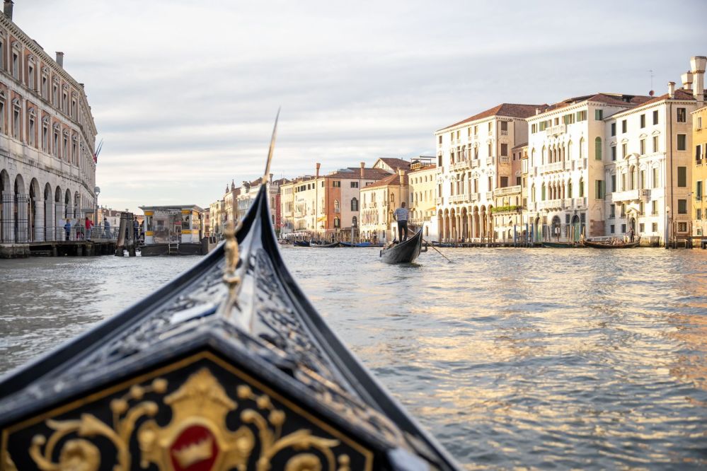 Imagen de la actividad