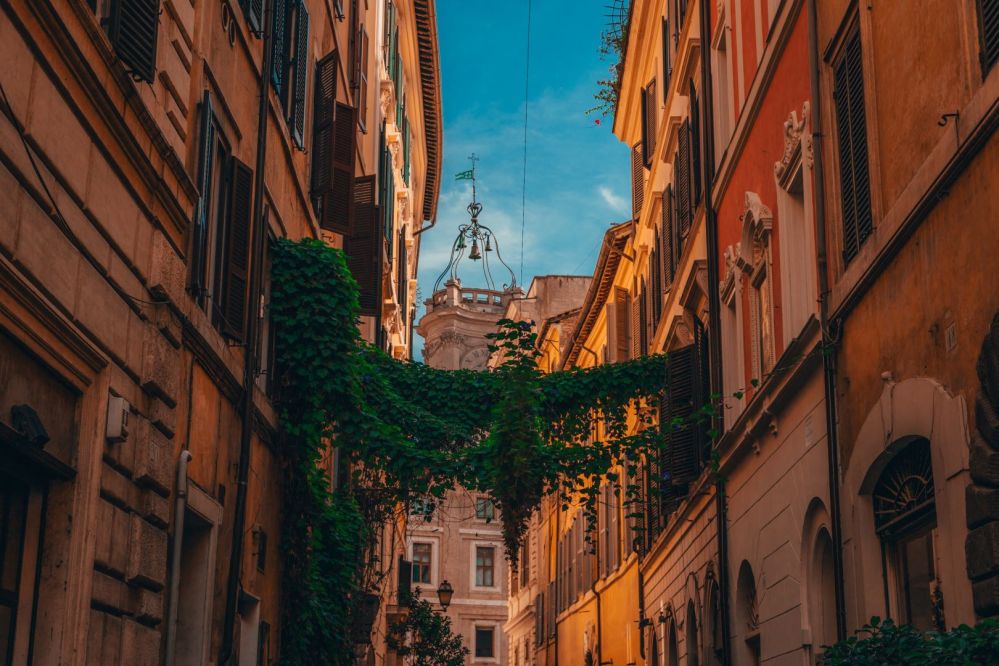 Imagen de la actividad