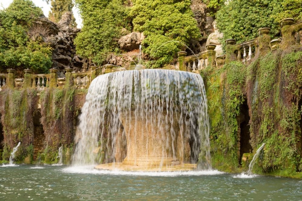 Imagen de la actividad