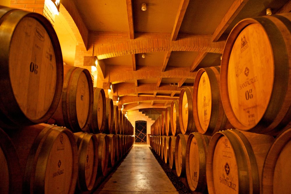 Imagen de Tour FD Enoturismo con transporte