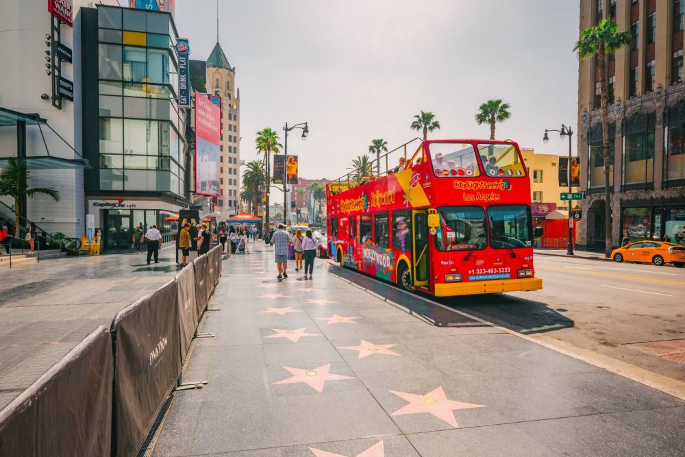 Imagen de la actividad