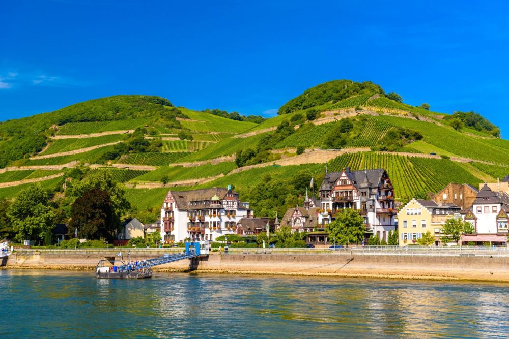 Imagen de la actividad