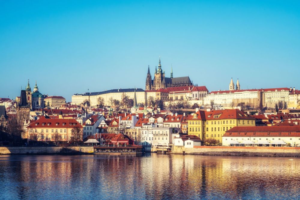 Imagen de la actividad