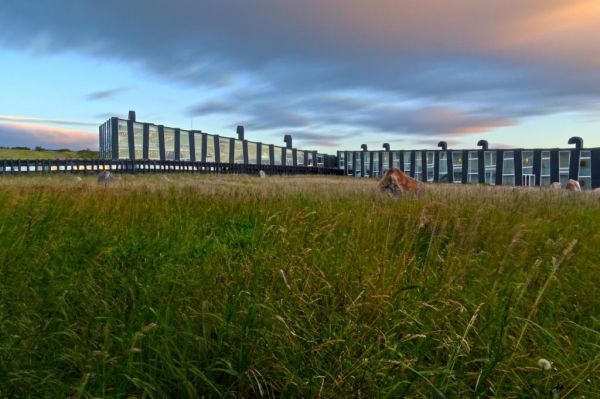 Todo incluido en Remota Patagonia Lodge