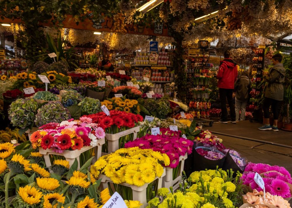 Imagen de la actividad