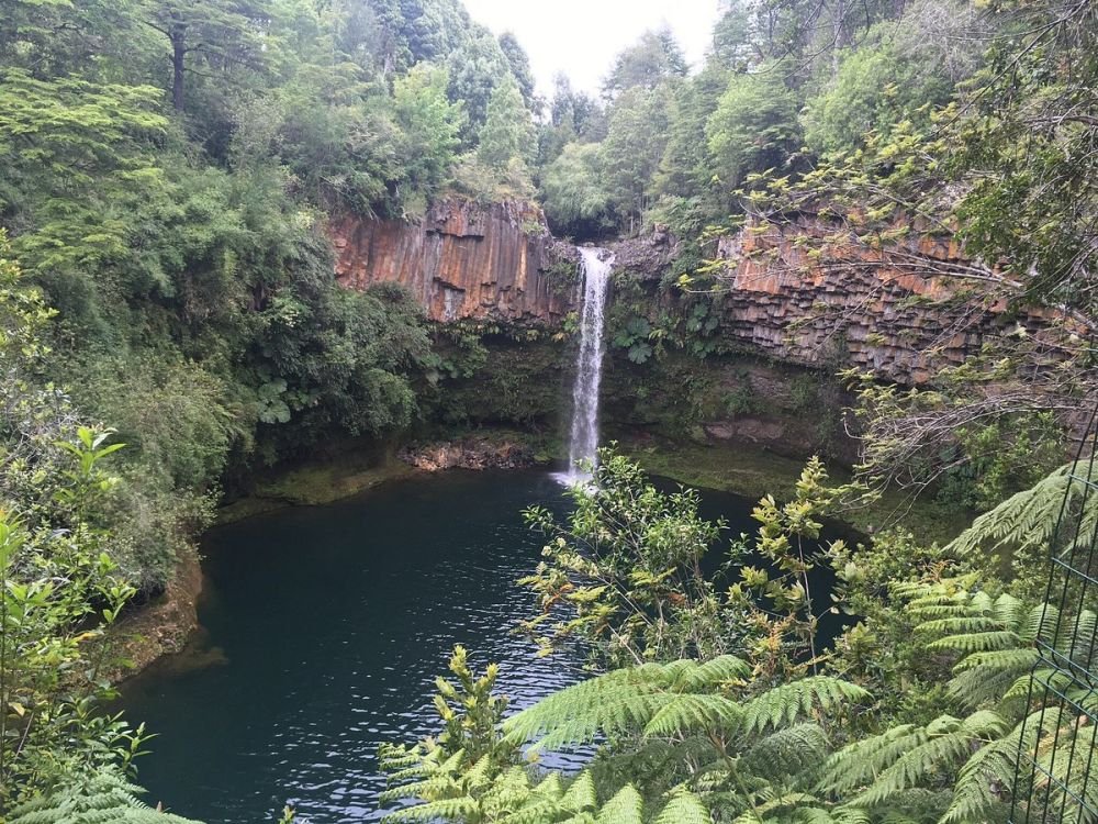 Imagen de la actividad