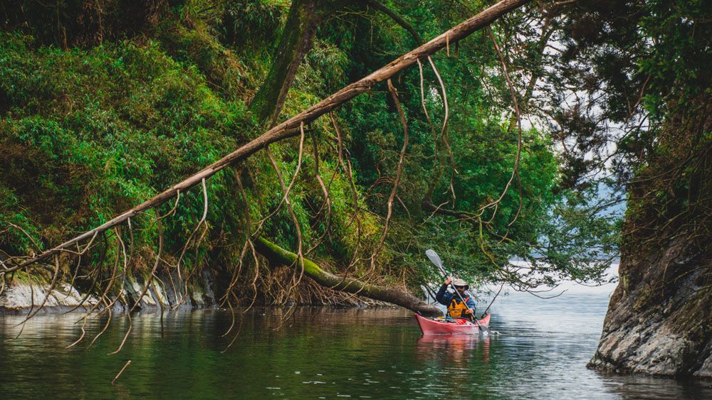 Imagen de la actividad