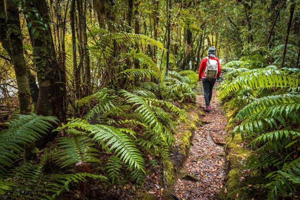 Imagen de Explora a tu ritmo en Hotel Puyehue