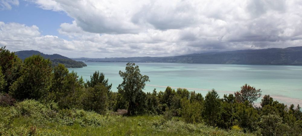 Imagen de la actividad