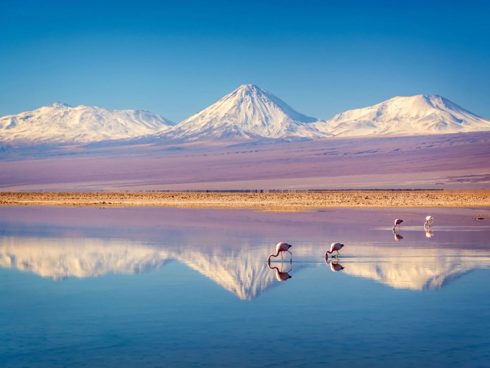 Imagen de Descubre la Magia del Desierto
