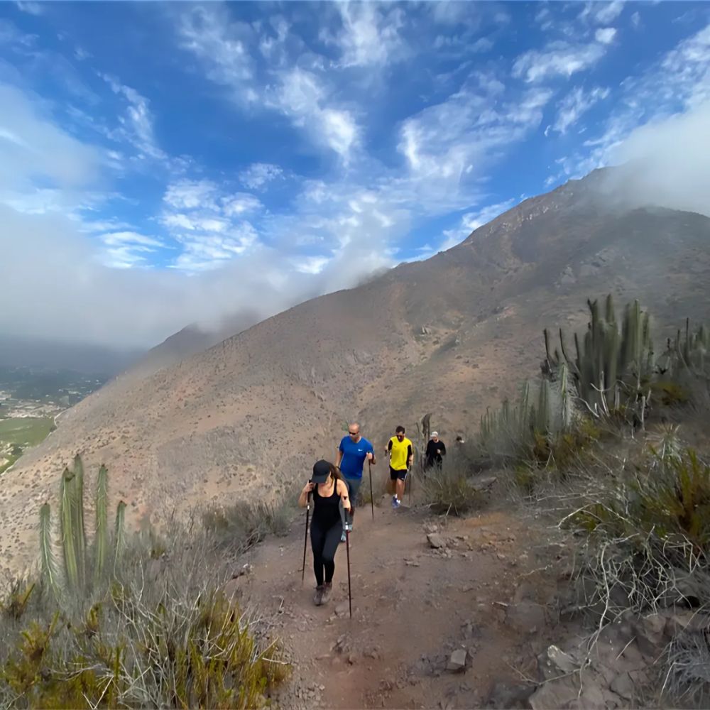 Imagen de la actividad