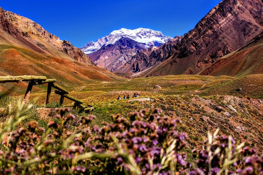 Imagen de Mendoza: El Maridaje Perfecto entre Cordillera y Alta Gastronomía