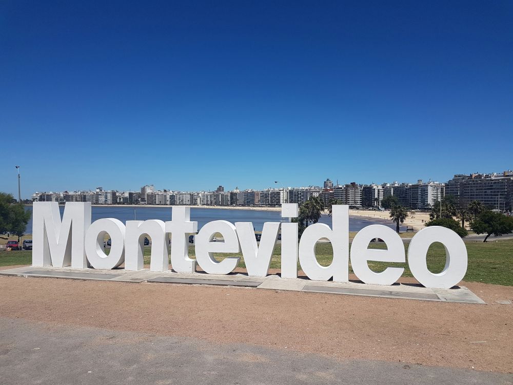 Imagen de la actividad