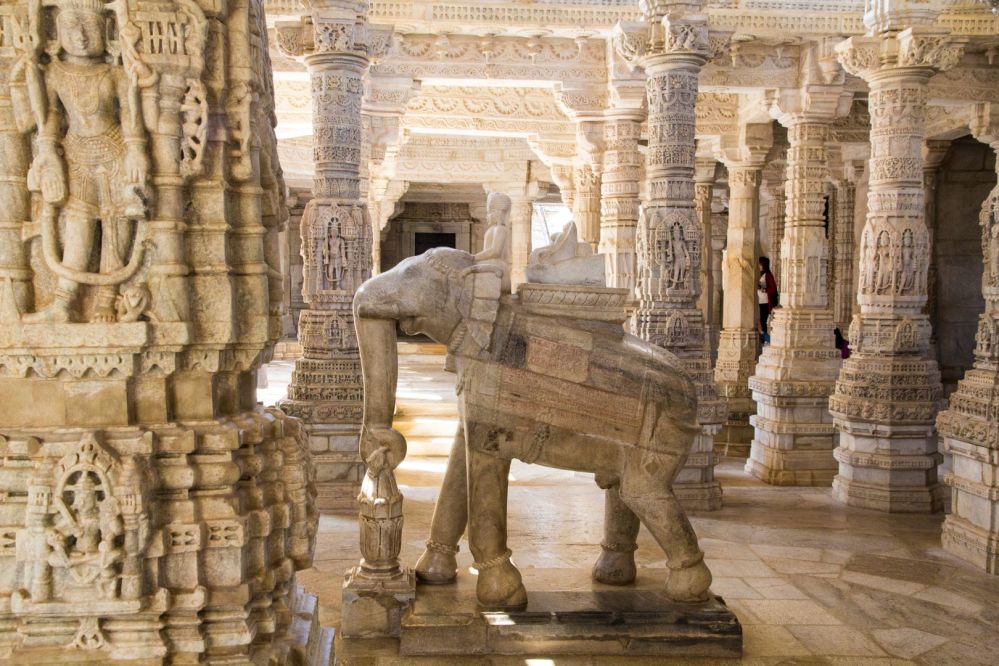 Imagen de la actividad