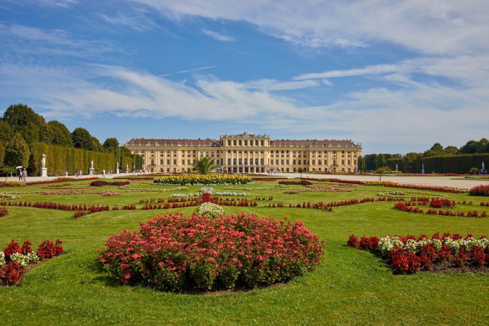 Imagen de Sin filas: Schonbrunn y City Tour a Pie