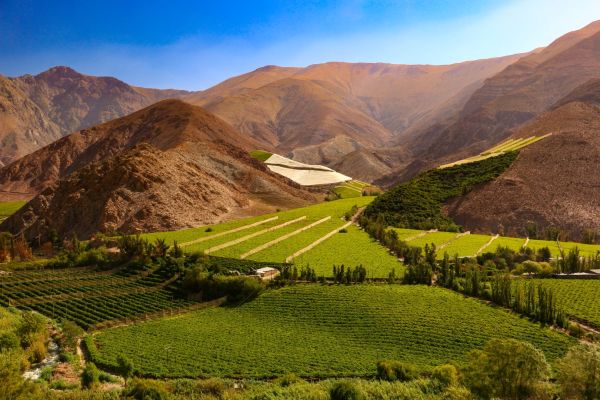 Escapada a Valle del Elqui con self-drive en Pisco Elqui