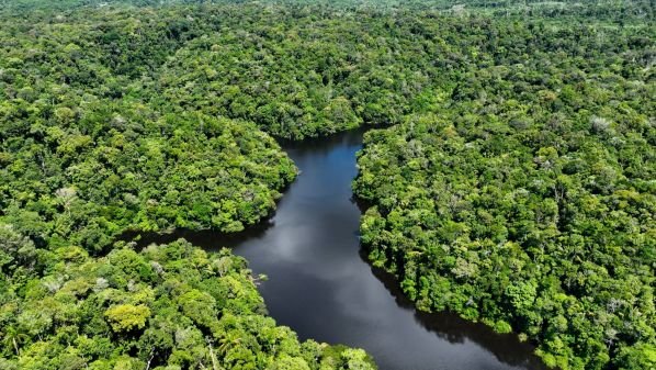 Escapada a Lima con crucero en Iquitos por la Amazonía peruana