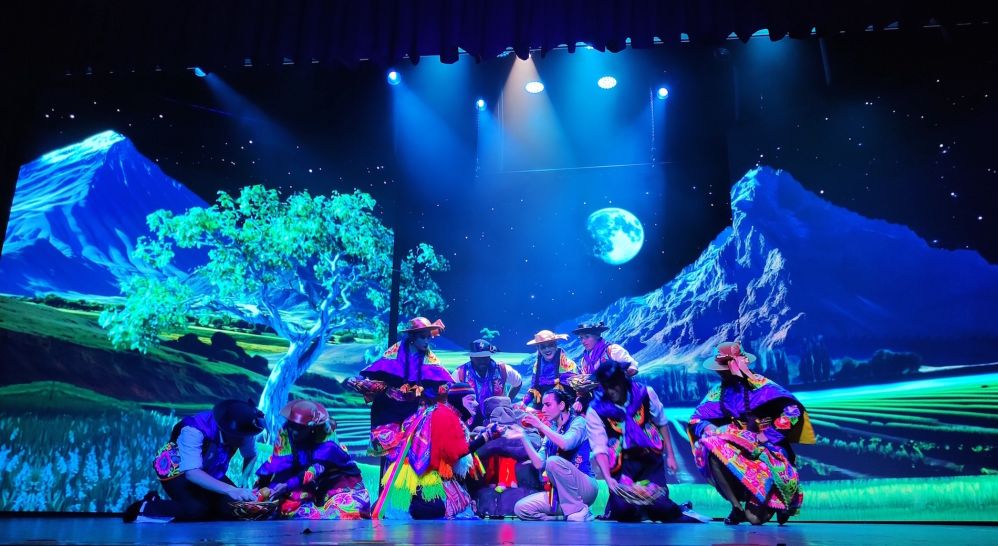 Imagen de Cena Show DanSa